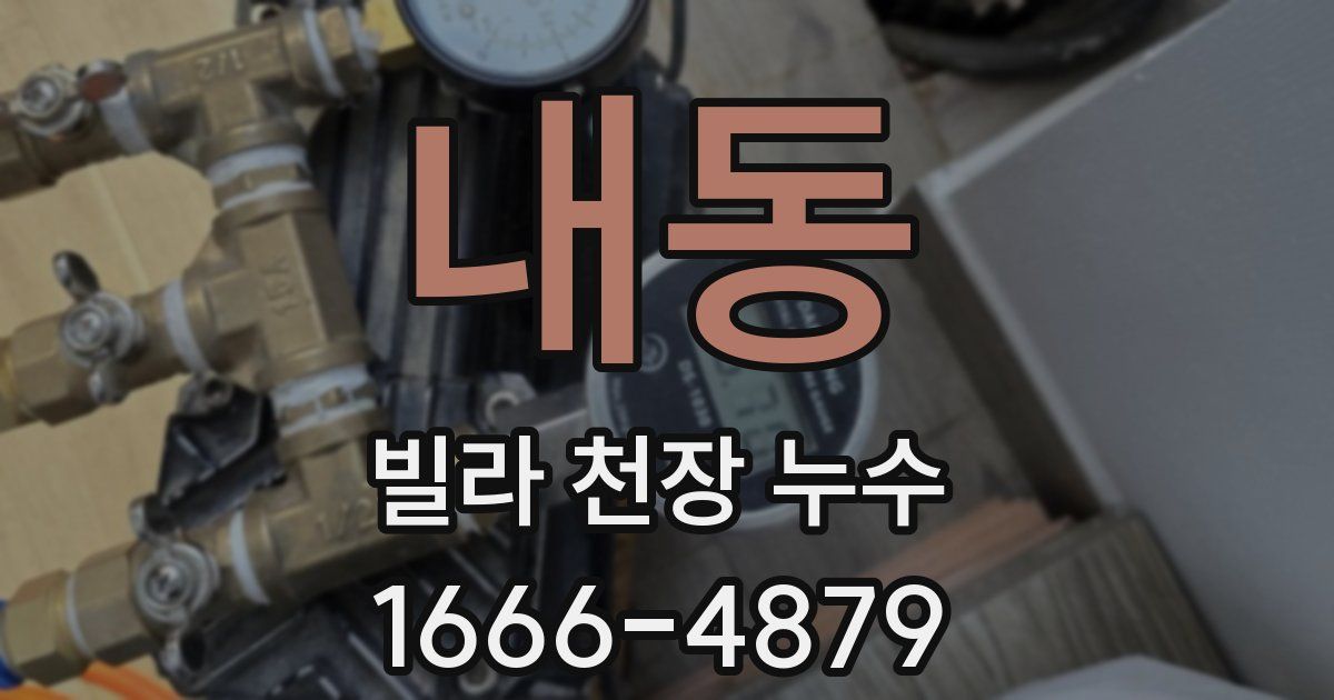 내동 빌라 천장 누수