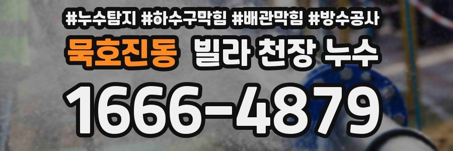 묵호진동 빌라 천장 누수