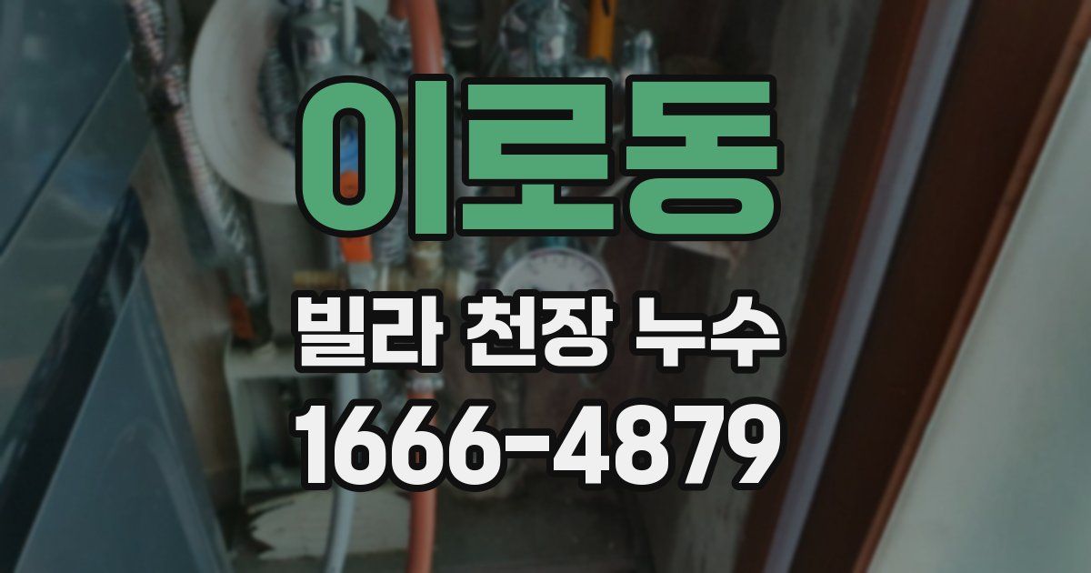 이로동 빌라 천장 누수