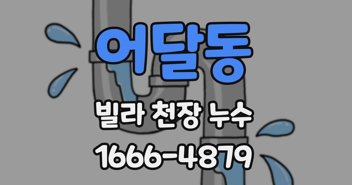 어달동 빌라 천장 누수