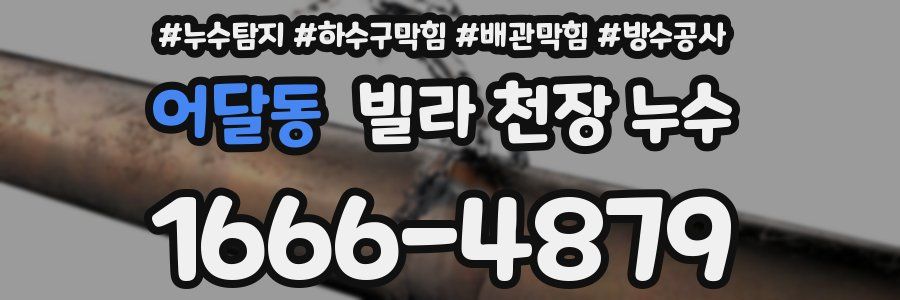 어달동 빌라 천장 누수