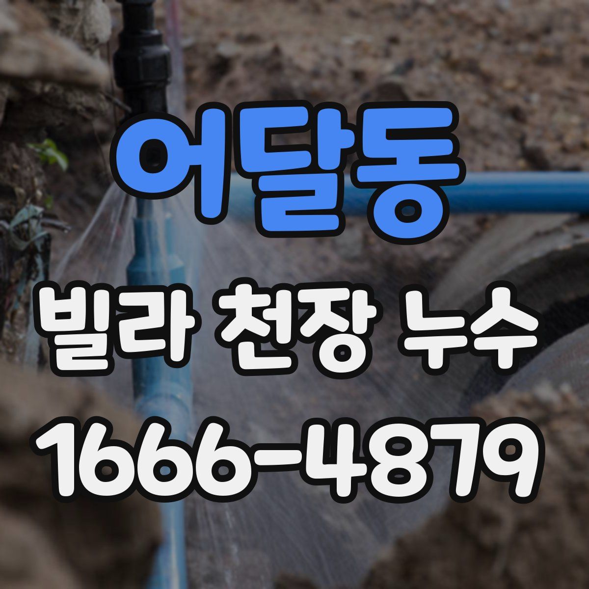 어달동 빌라 천장 누수