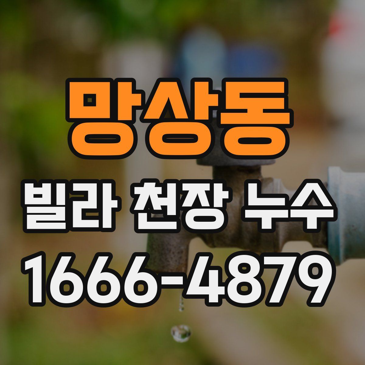 망상동 빌라 천장 누수