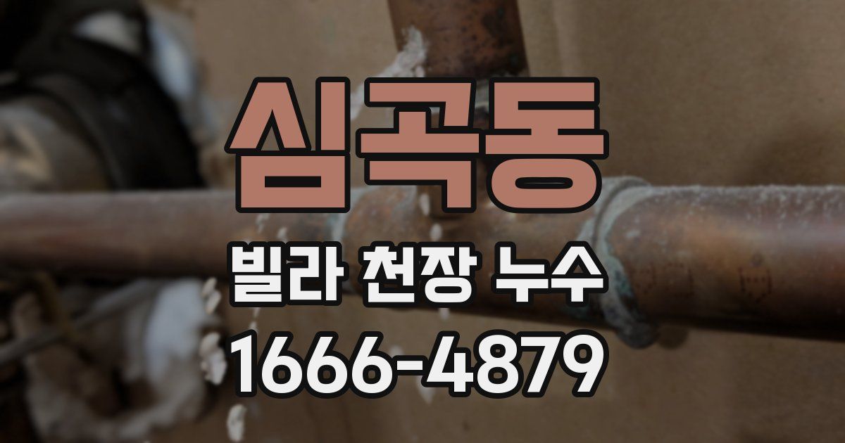 심곡동 빌라 천장 누수
