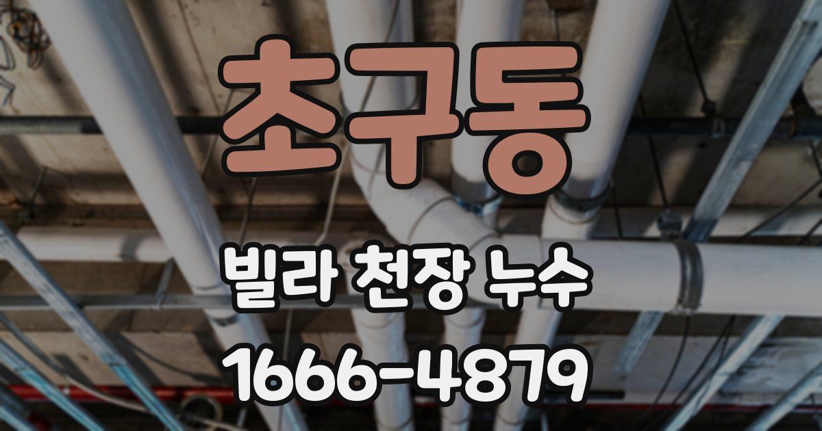 초구동 빌라 천장 누수