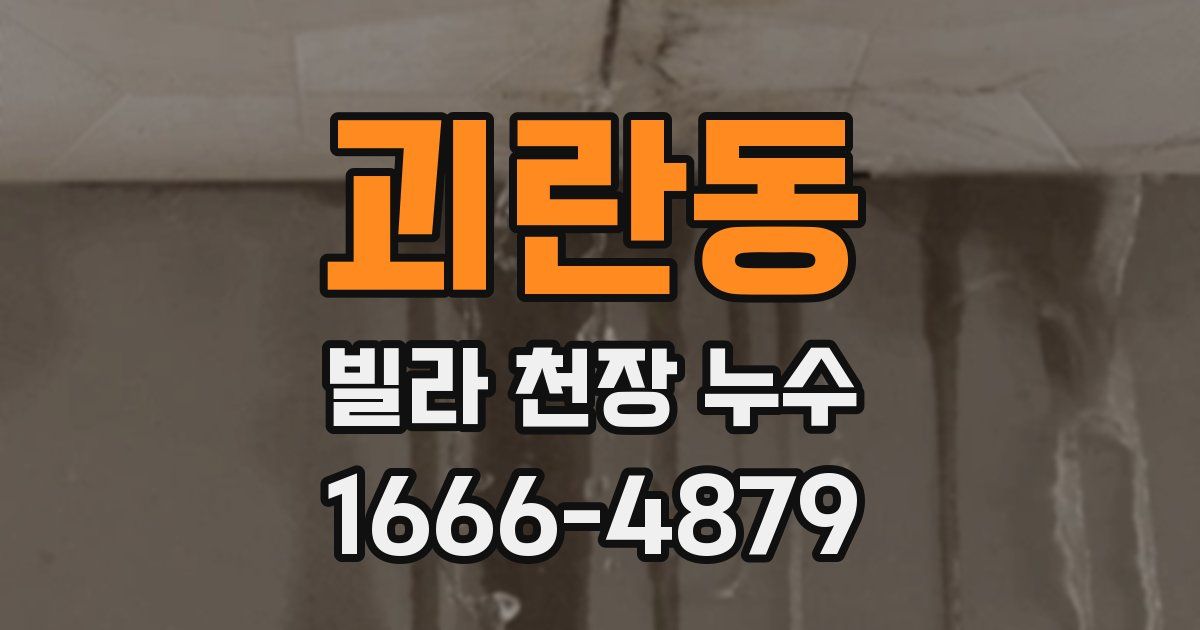 괴란동 빌라 천장 누수