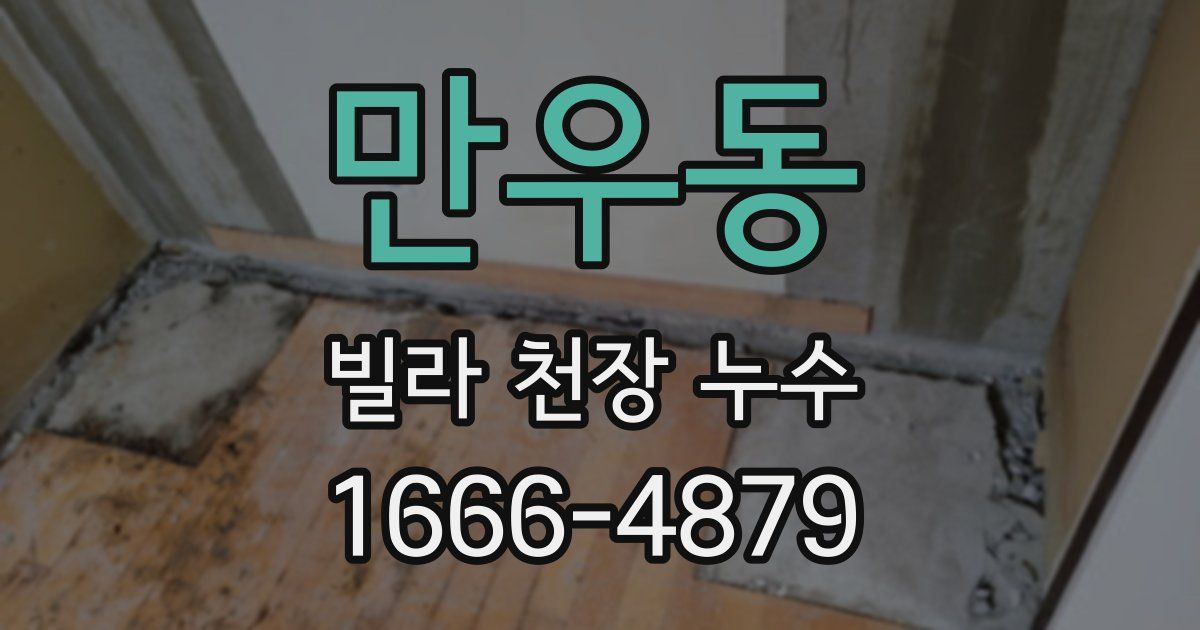 만우동 빌라 천장 누수