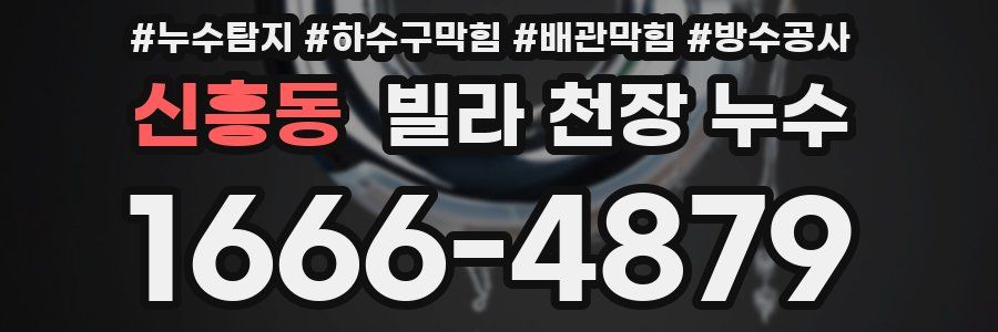 신흥동 빌라 천장 누수