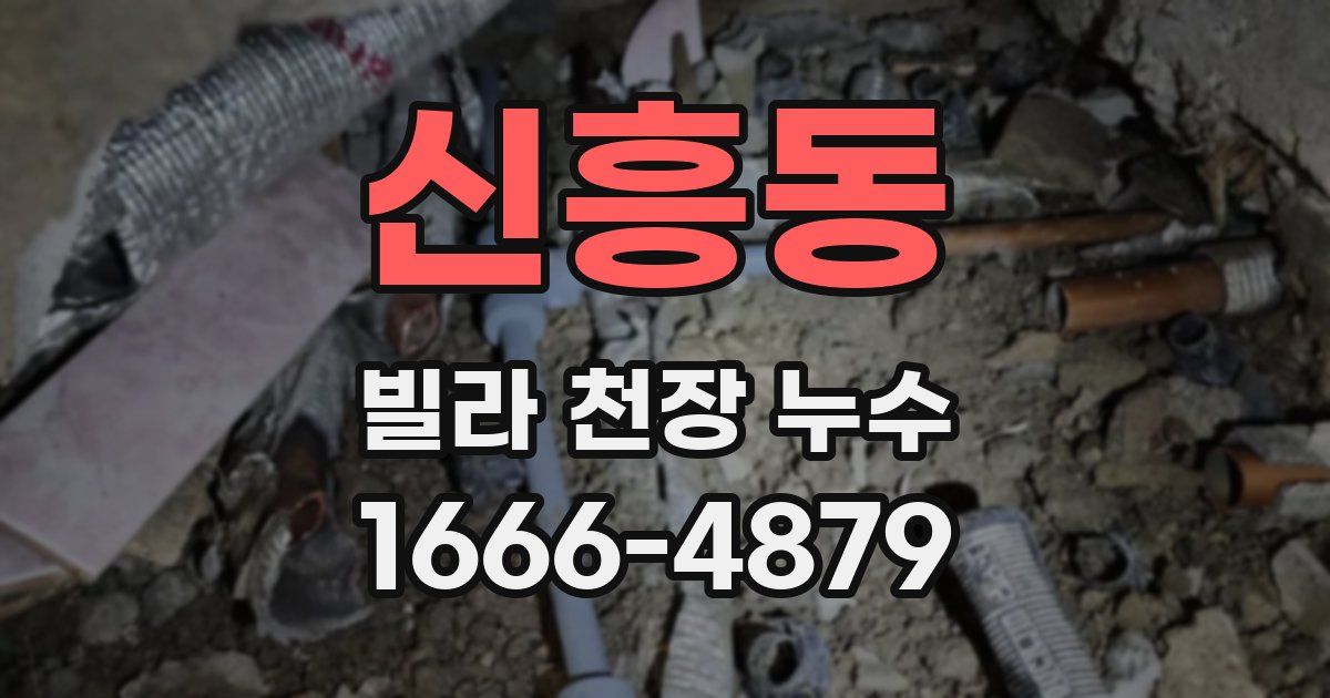 신흥동 빌라 천장 누수
