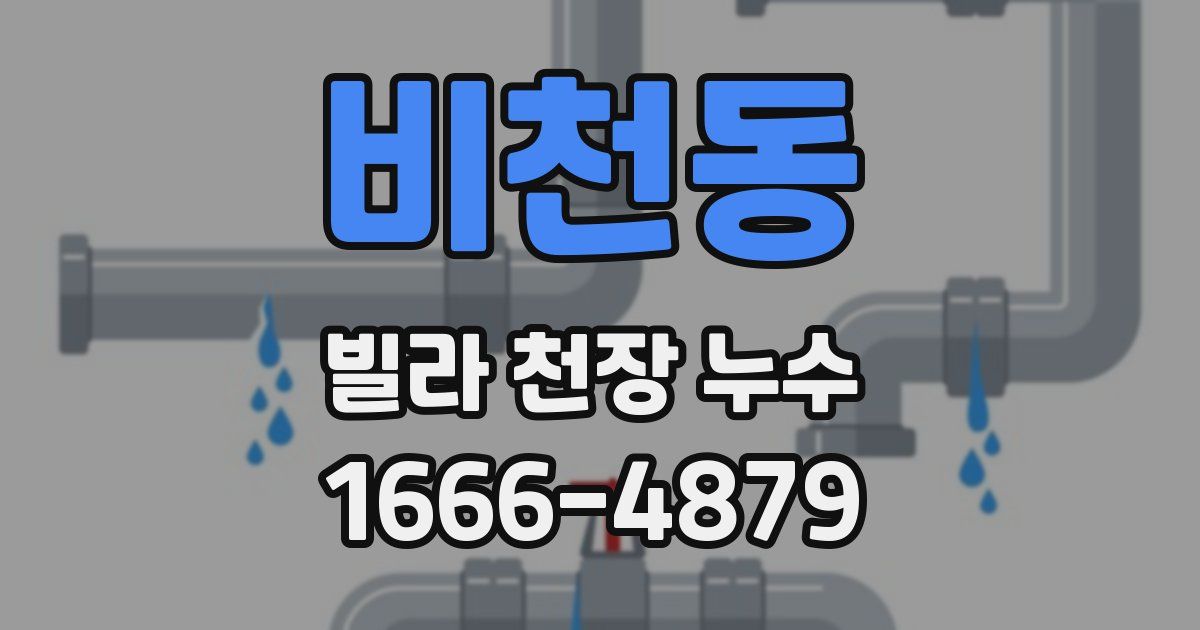 비천동 빌라 천장 누수