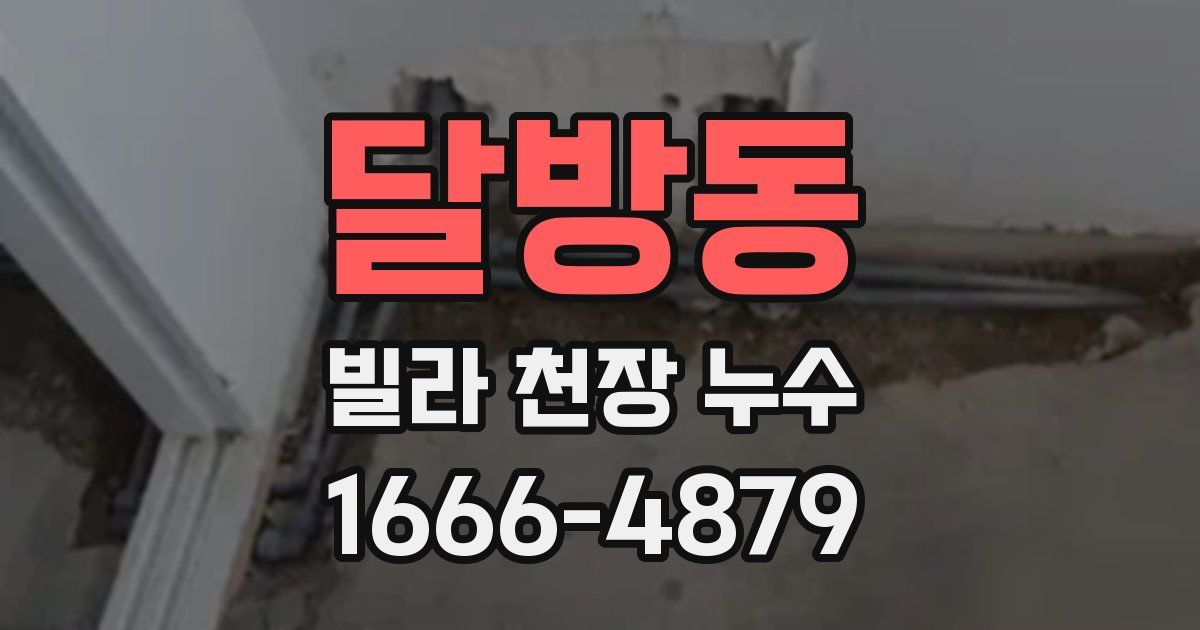 달방동 빌라 천장 누수