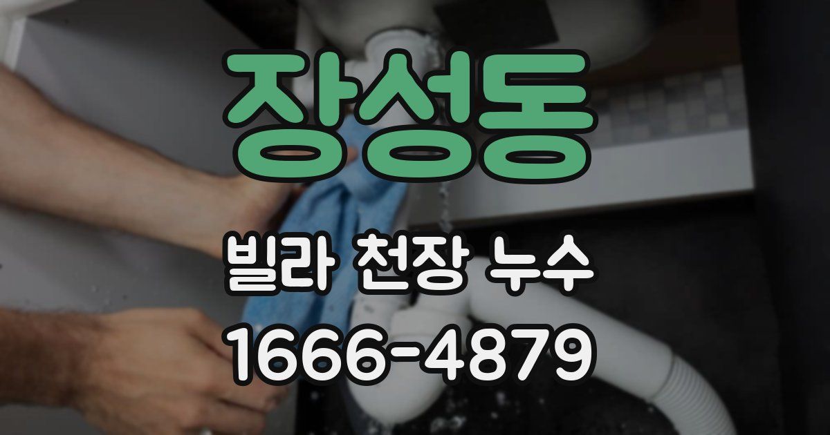장성동 빌라 천장 누수