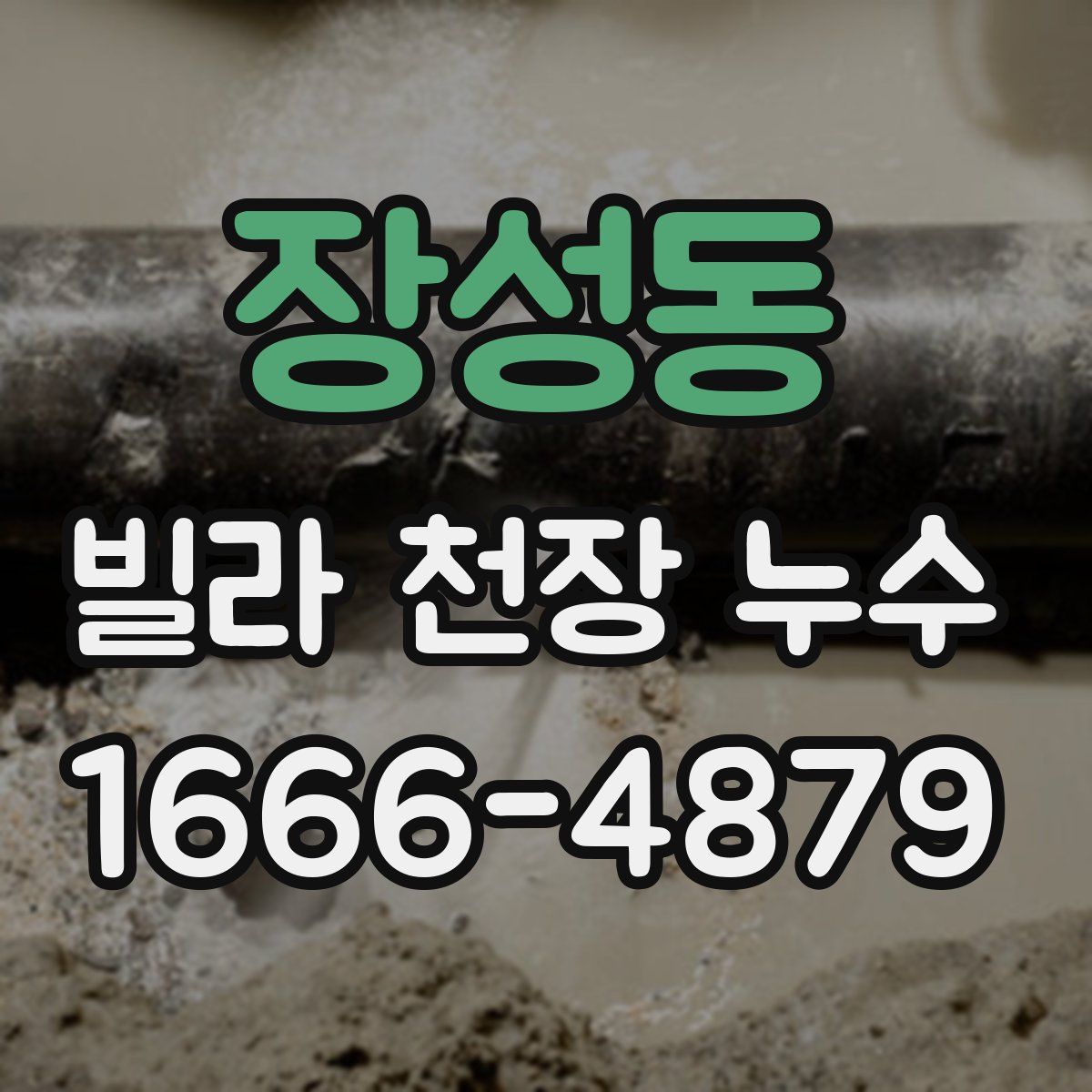 장성동 빌라 천장 누수
