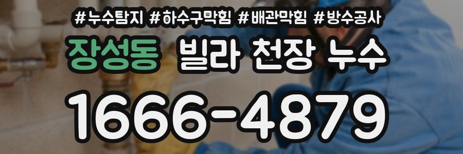 장성동 빌라 천장 누수