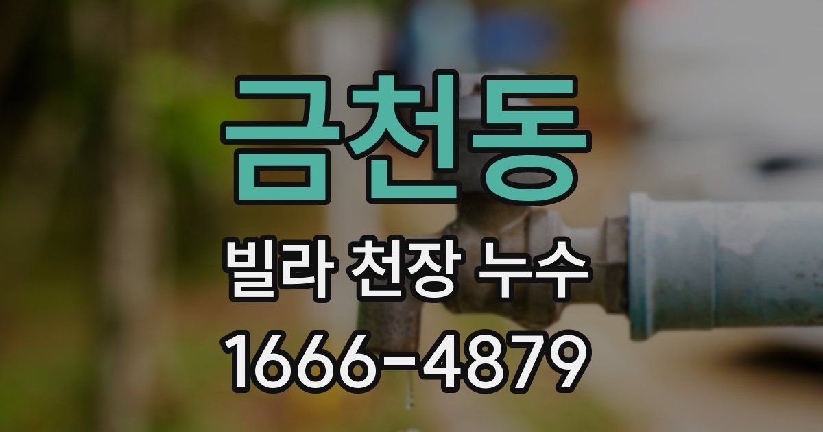 금천동 빌라 천장 누수