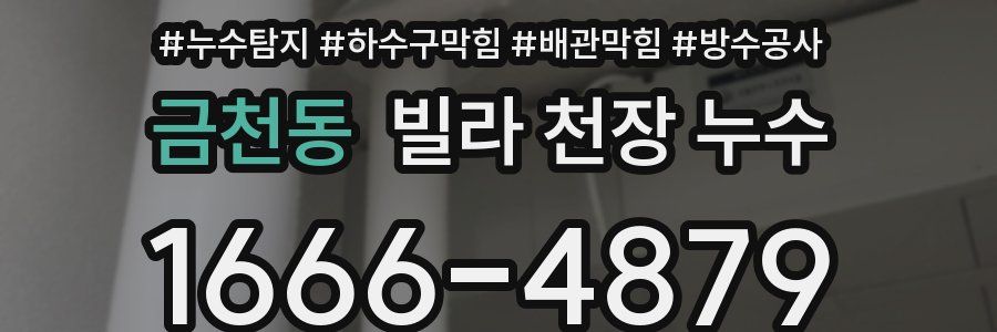 금천동 빌라 천장 누수