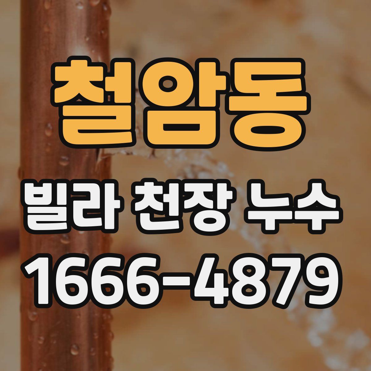 철암동 빌라 천장 누수