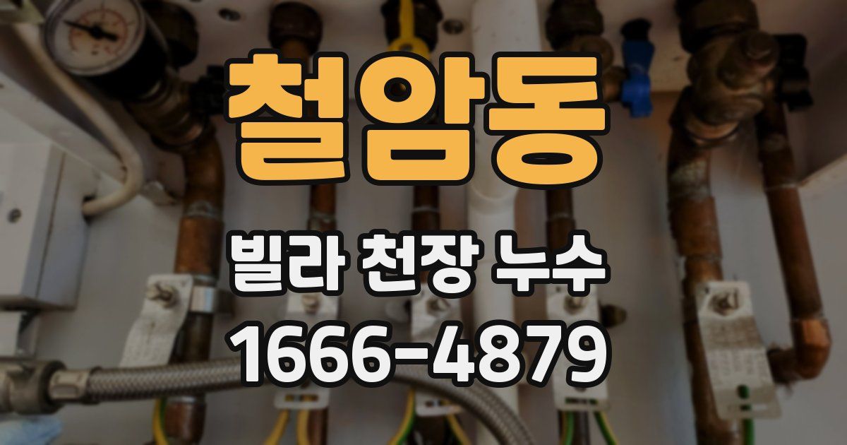 철암동 빌라 천장 누수