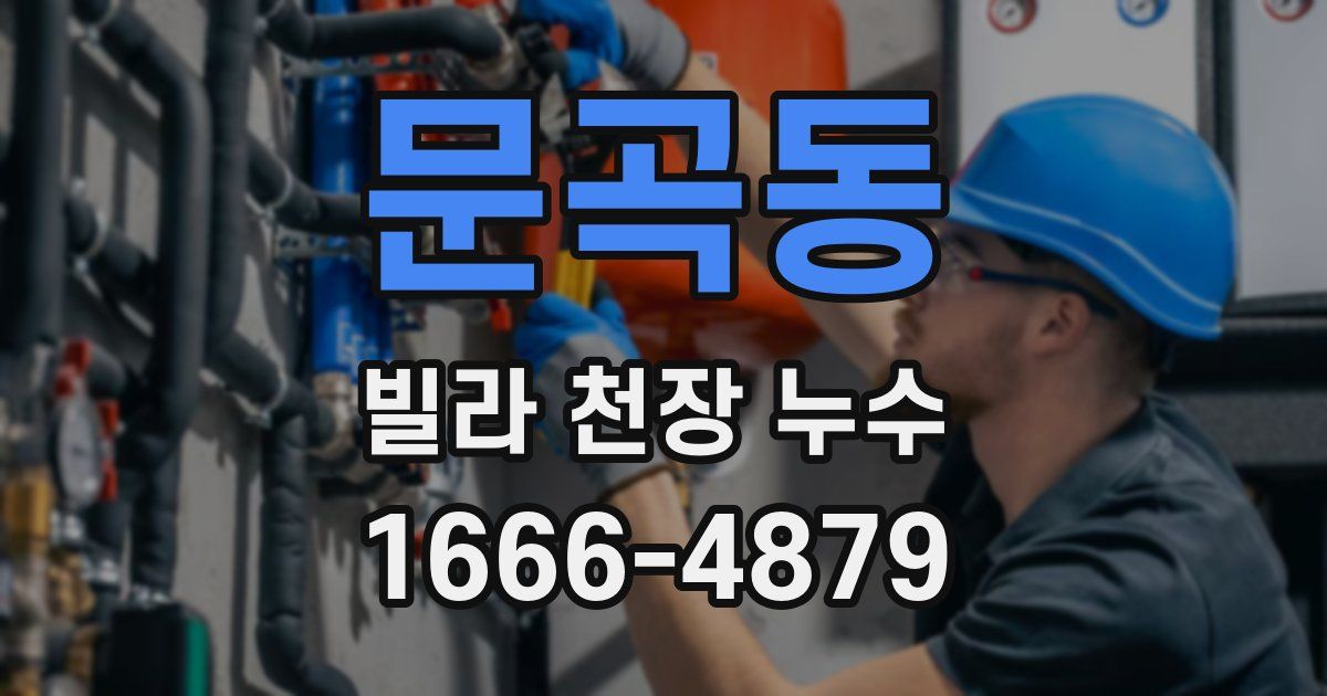 문곡동 빌라 천장 누수