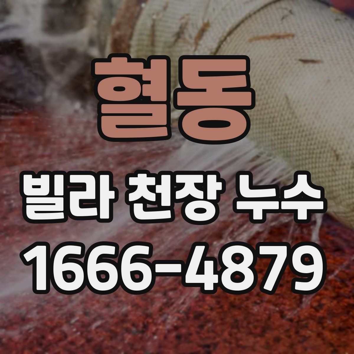 혈동 빌라 천장 누수