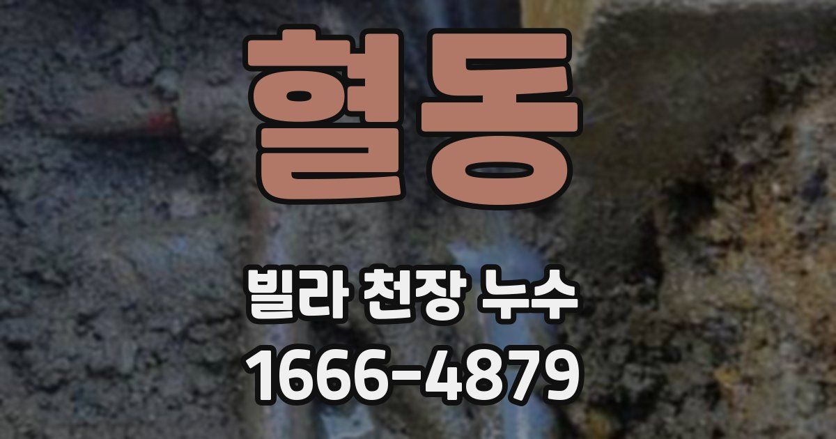 혈동 빌라 천장 누수