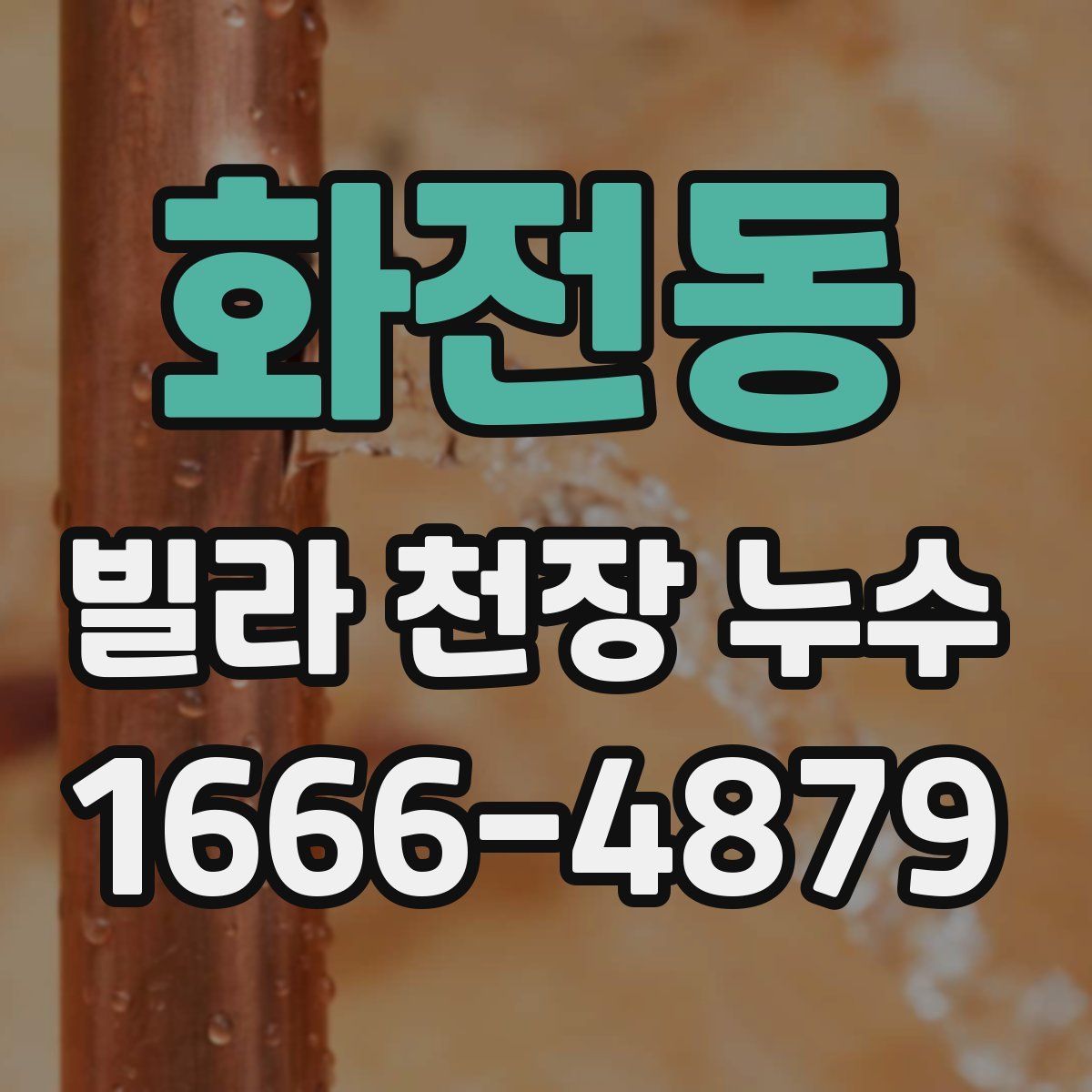 화전동 빌라 천장 누수