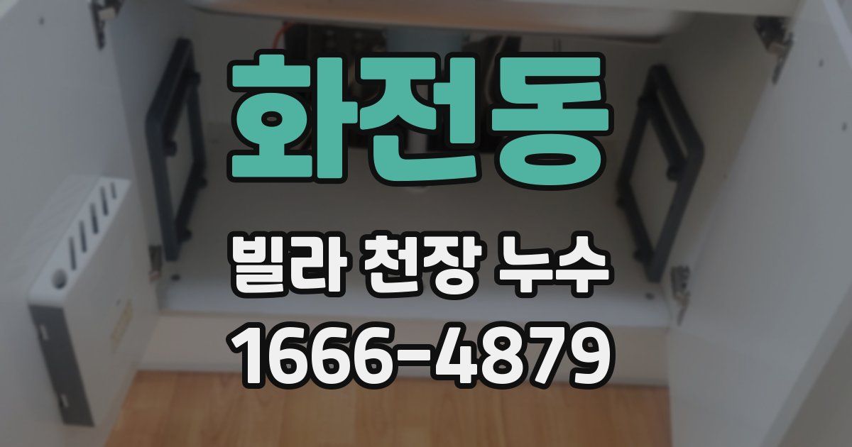 화전동 빌라 천장 누수