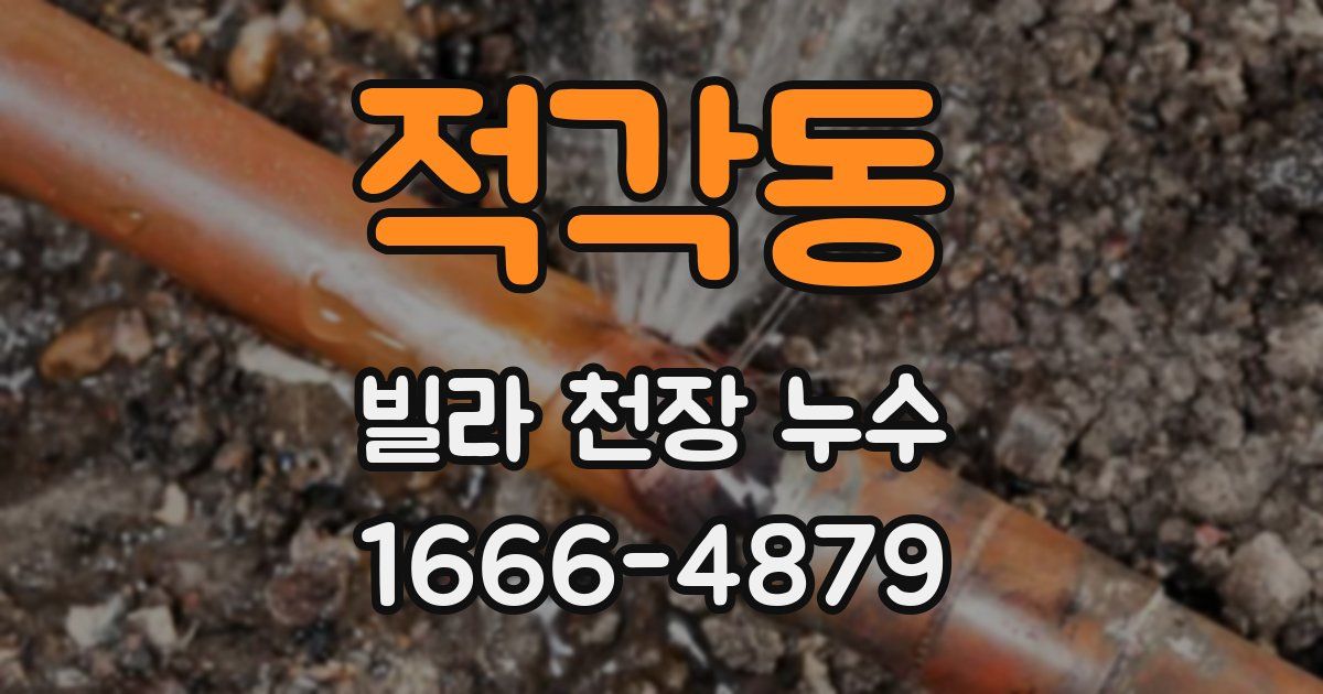 적각동 빌라 천장 누수