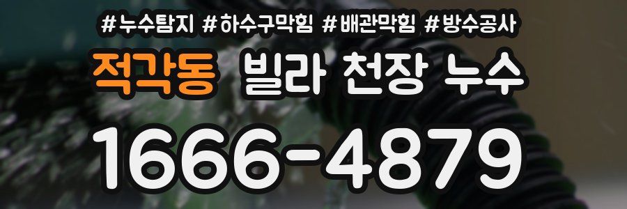 적각동 빌라 천장 누수
