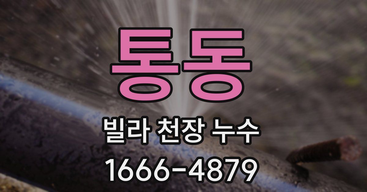 통동 빌라 천장 누수