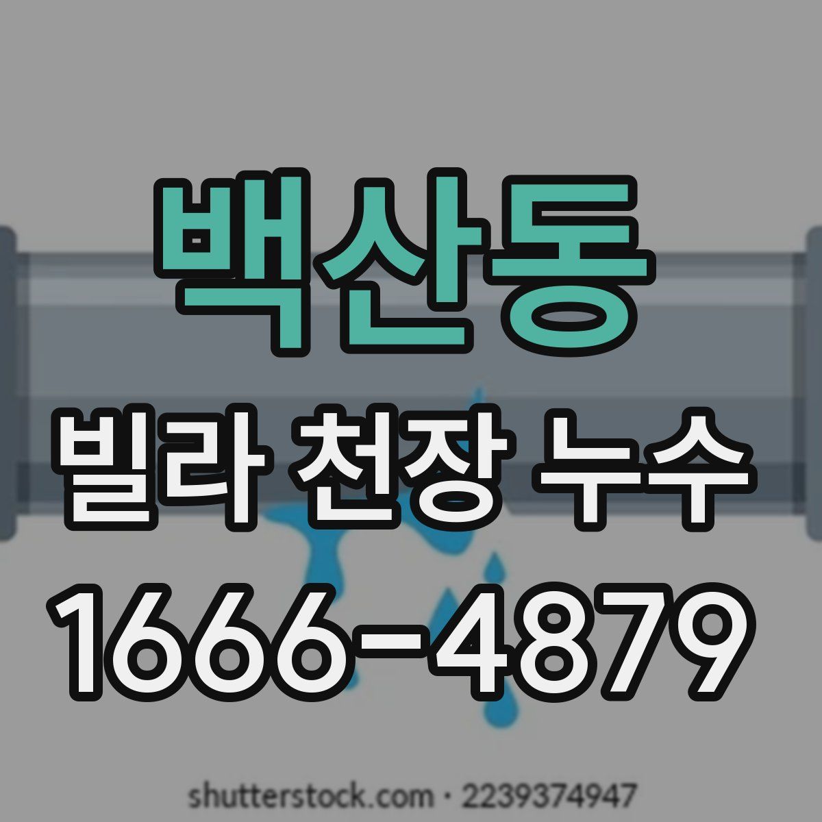 백산동 빌라 천장 누수