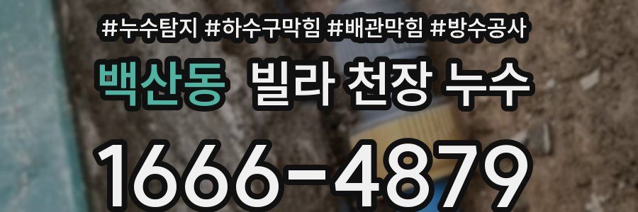 백산동 빌라 천장 누수