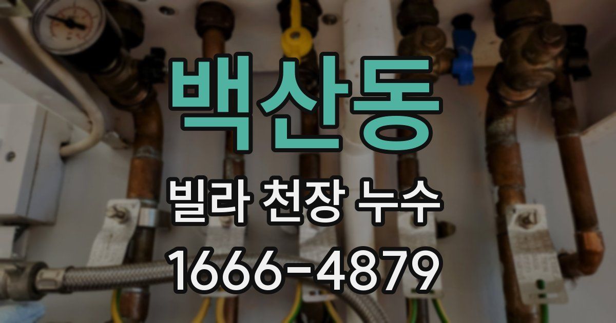 백산동 빌라 천장 누수