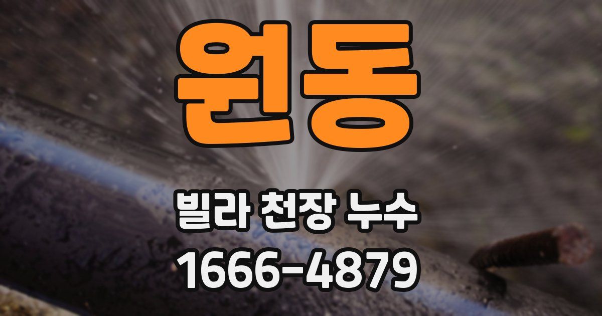 원동 빌라 천장 누수