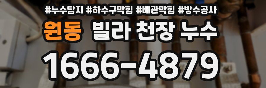 원동 빌라 천장 누수