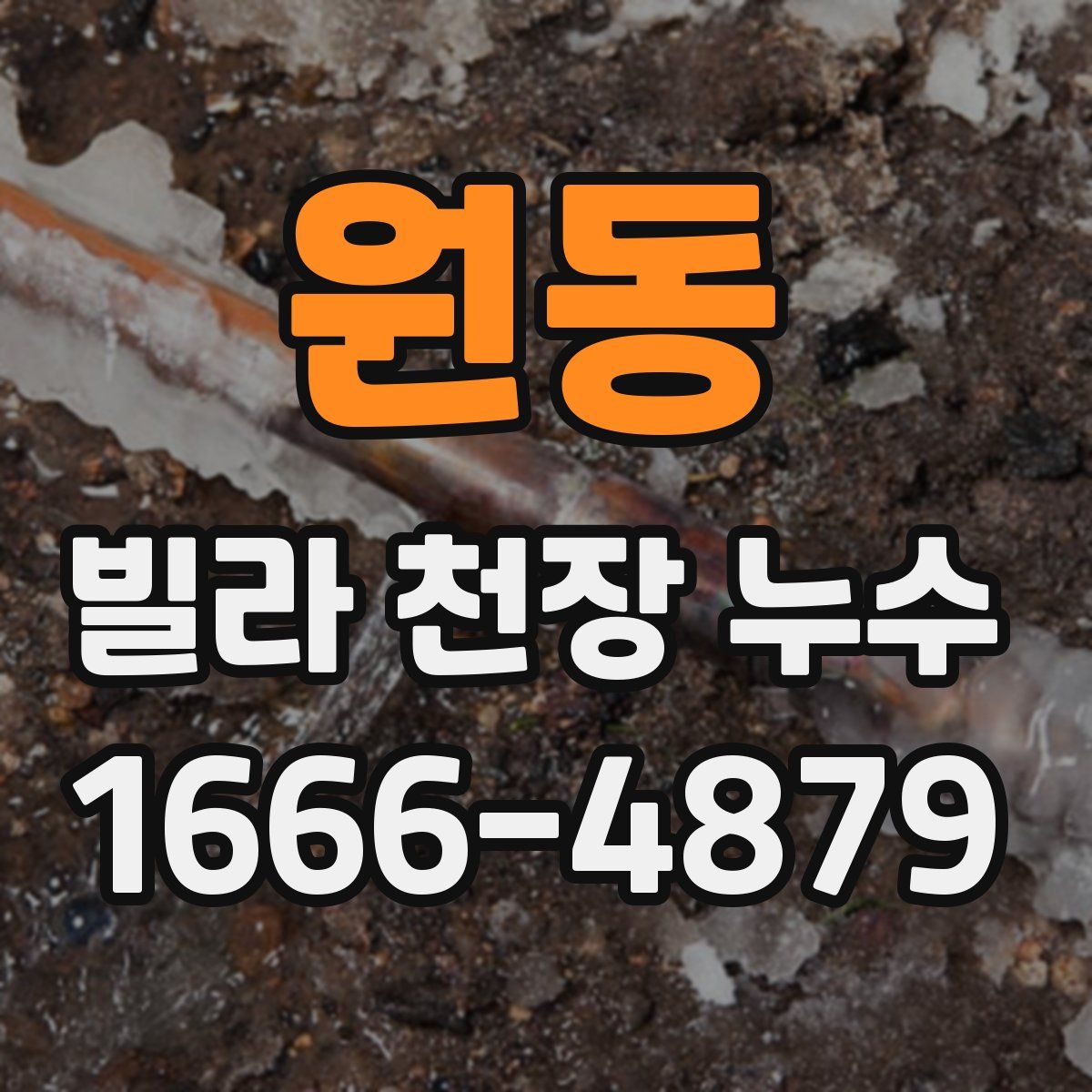 원동 빌라 천장 누수