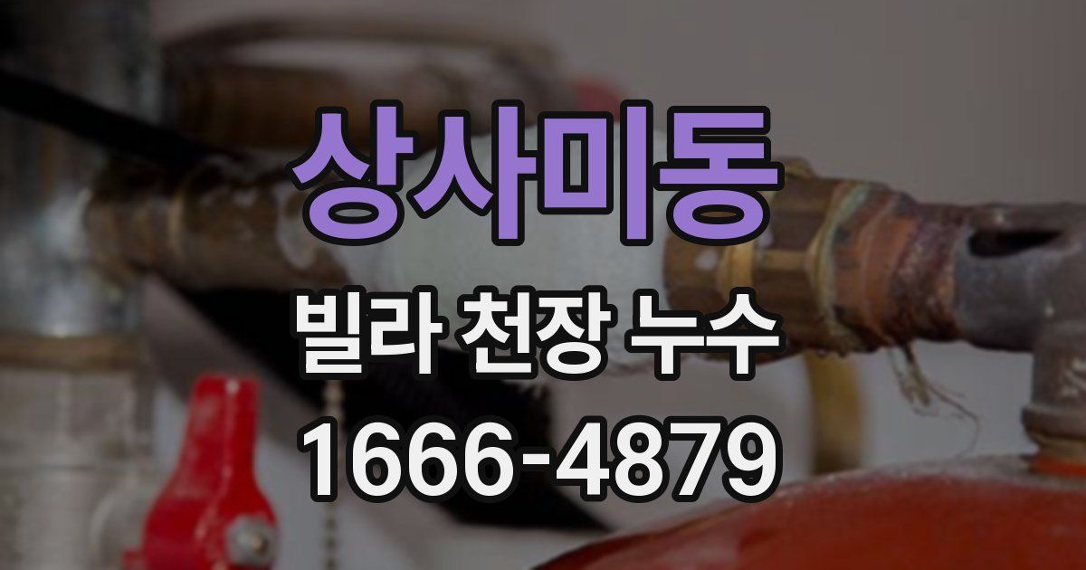 상사미동 빌라 천장 누수