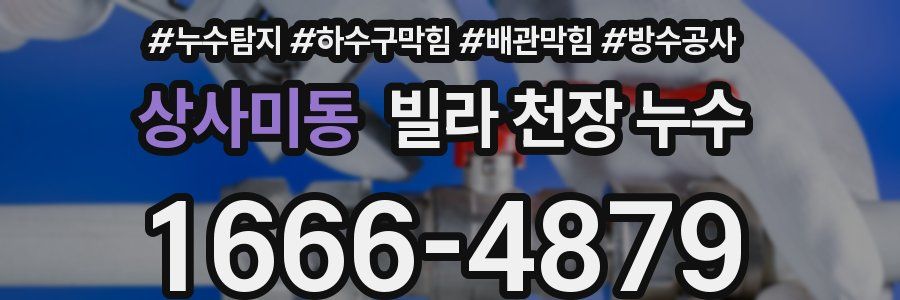 상사미동 빌라 천장 누수