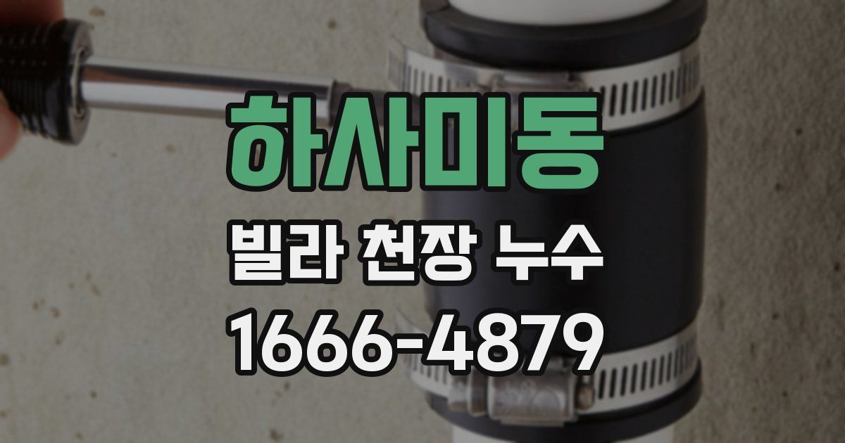 하사미동 빌라 천장 누수