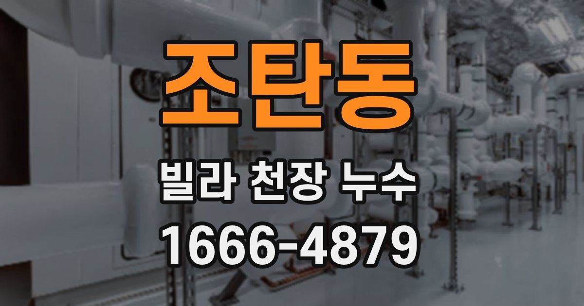 조탄동 빌라 천장 누수