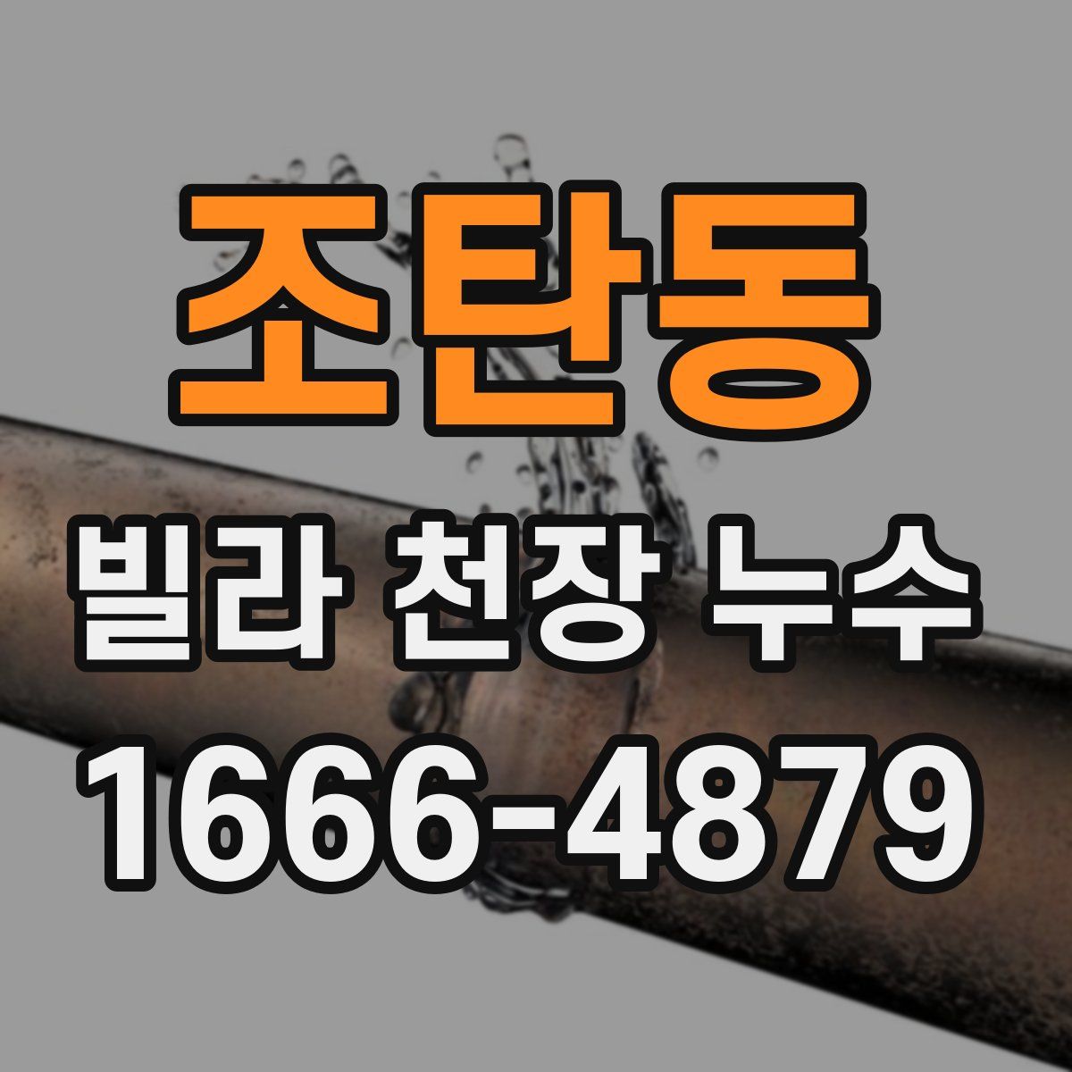 조탄동 빌라 천장 누수