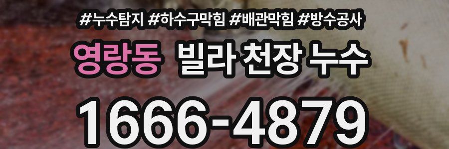 영랑동 빌라 천장 누수