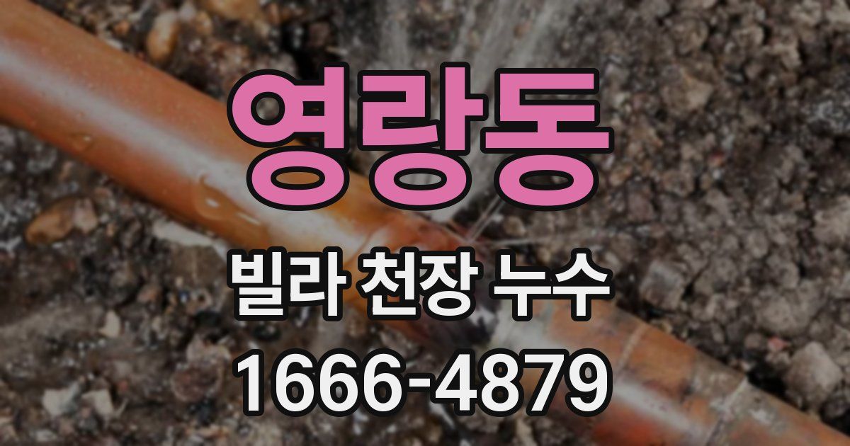 영랑동 빌라 천장 누수
