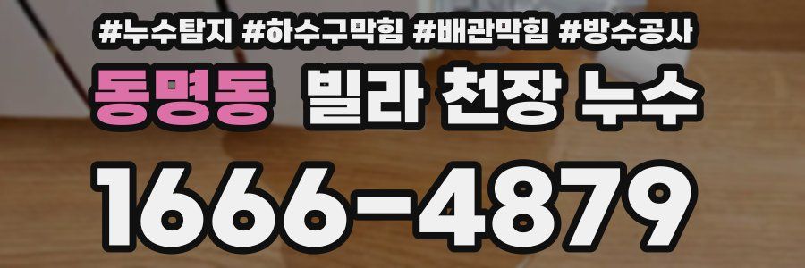 동명동 빌라 천장 누수