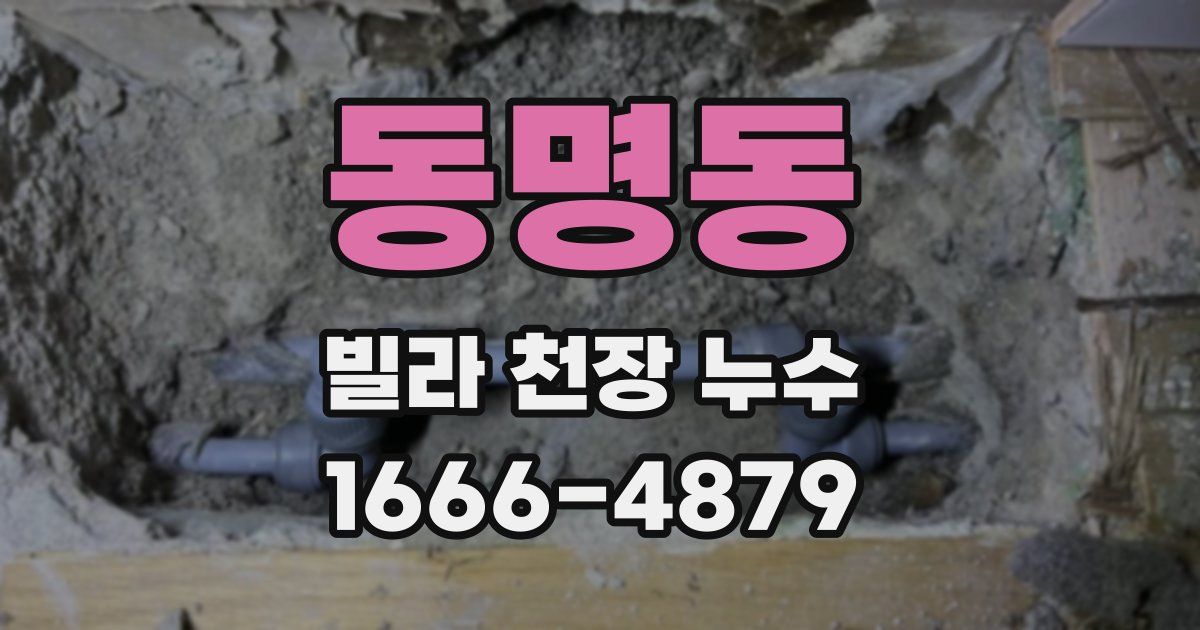 동명동 빌라 천장 누수