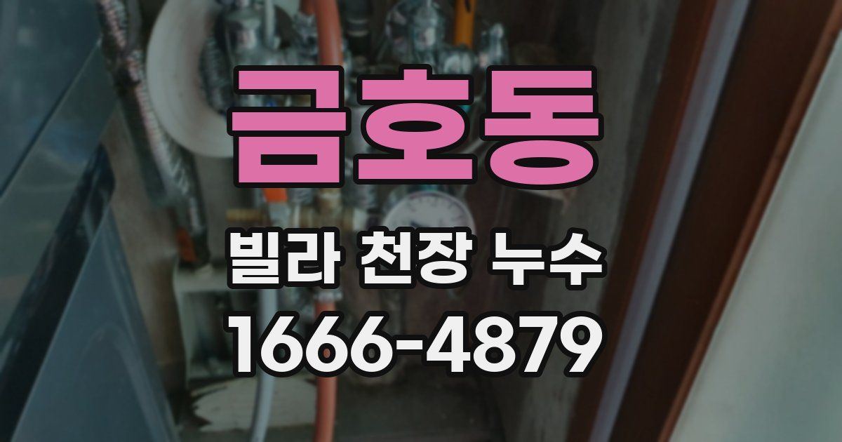 금호동 빌라 천장 누수