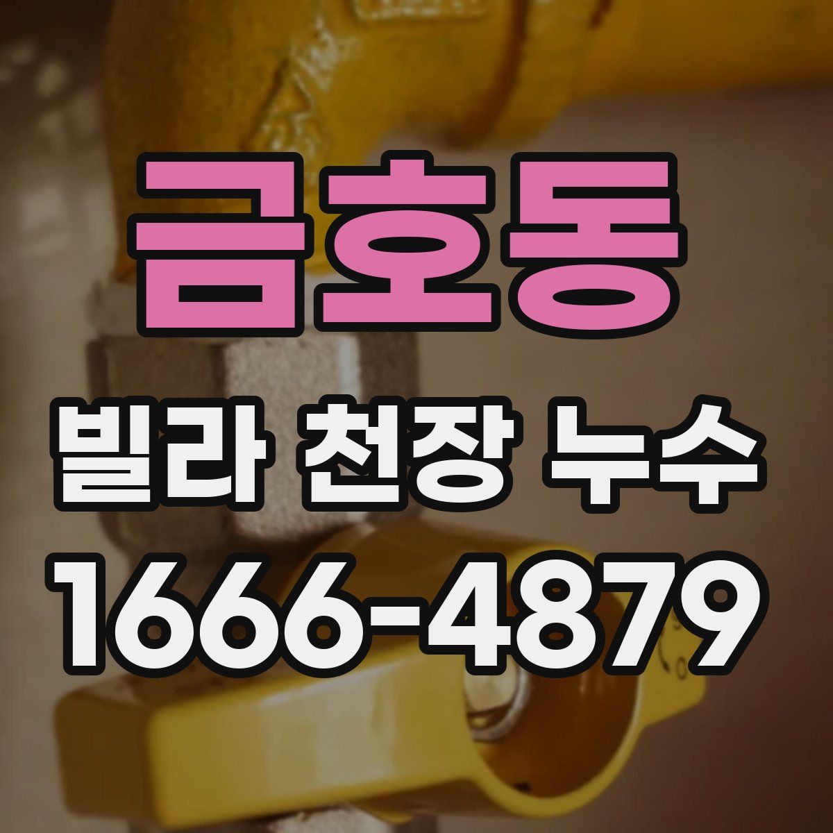 금호동 빌라 천장 누수