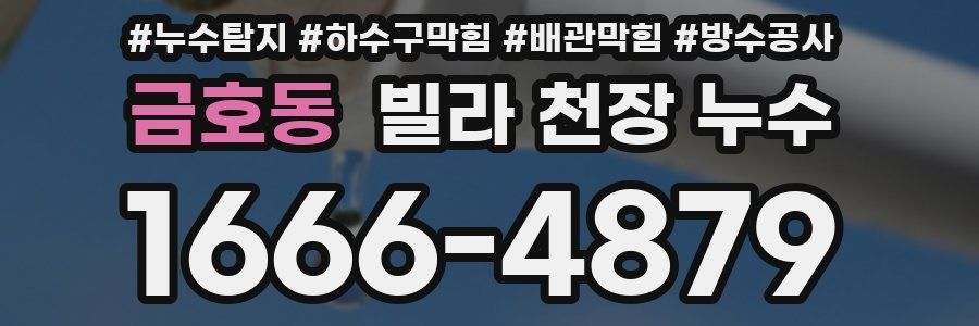 금호동 빌라 천장 누수
