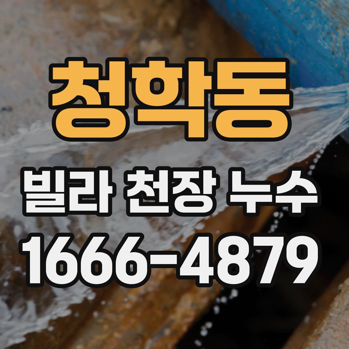 청학동 빌라 천장 누수