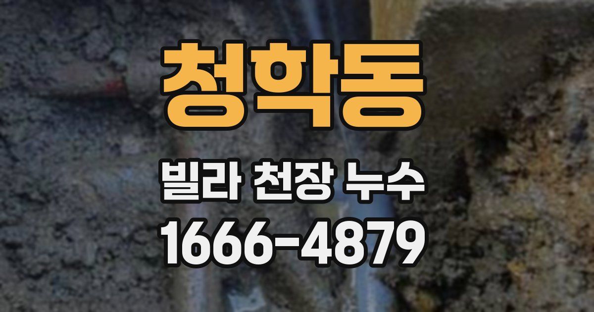 청학동 빌라 천장 누수